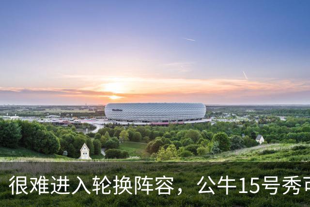 很难进入轮换阵容，公牛15号秀可能会去NBA发展联盟待一段时间？