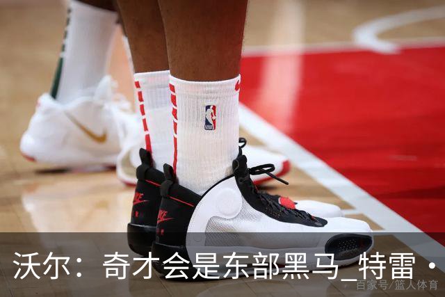 沃尔：奇才会是东部黑马 特雷·杨和浓眉有实力关键看健康